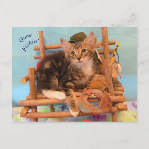 Kitten est parti carte postale Fishin'