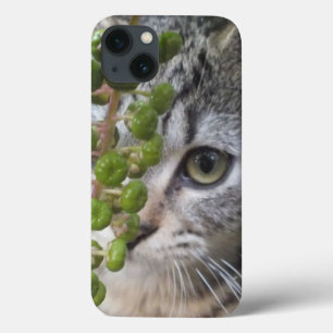 Kitten EYE-Phone iPad Case verstecken