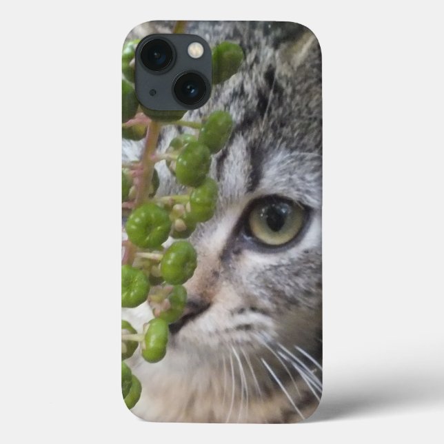 Kitten EYE-Phone iPad Case verstecken (Rückseite)