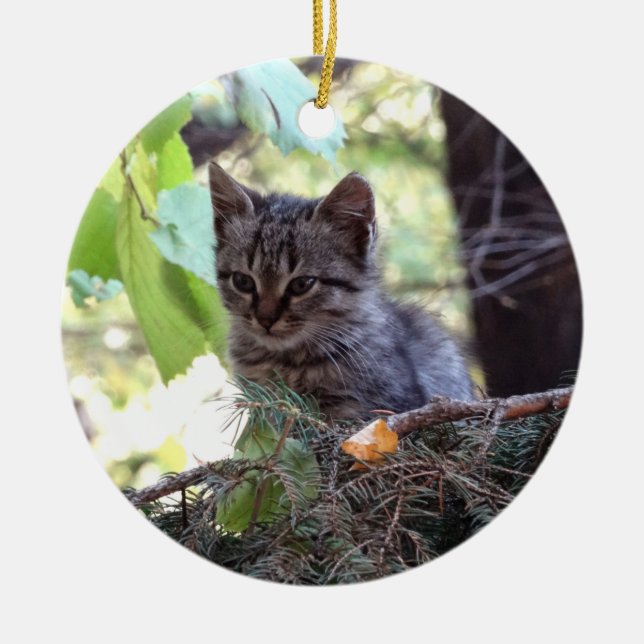 Kitten Foto Baby Cat Circle Ornament (Vorne)