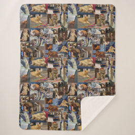 Kitten Foto Collage, großer Sherpa Blanket Sherpadecke