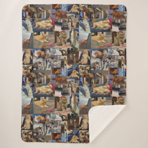 Kitten Foto Collage, Sherpadecke