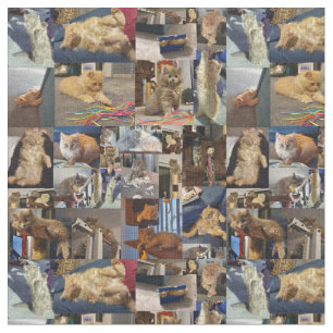 Kitten Foto Collage, Stoff