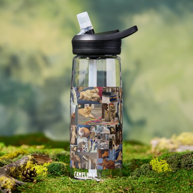 Kitten Foto Collage, Trinkflasche (Außenbereich)