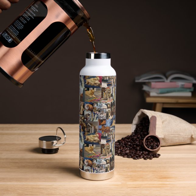 Kitten Foto Collage, Trinkflasche (Kaffee)