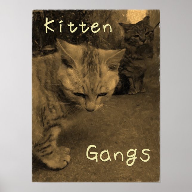 Kitten Gangs Poster (Vorne)