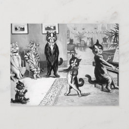 Kitten gibt eine Erwägung Postkarte