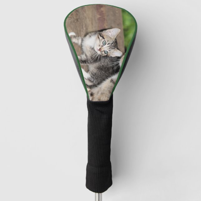 Kitten Golf Headcover (Vorderseite)