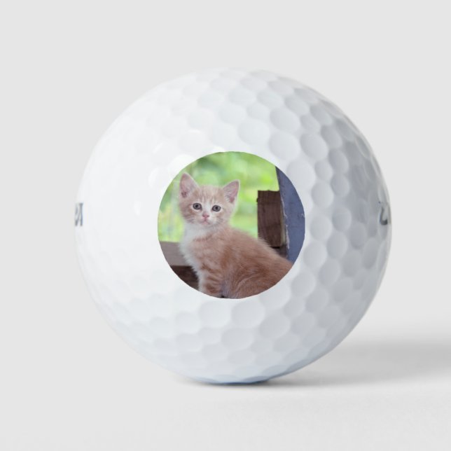 Kitten Golfball (Vorderseite)