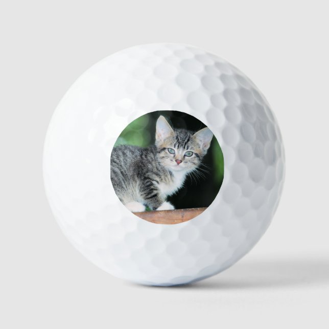 Kitten Golfball (Vorderseite)