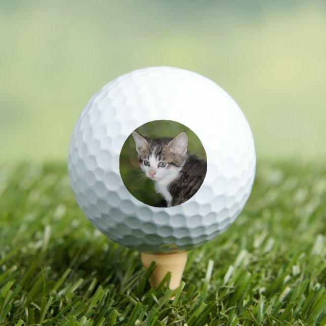 Kitten Golfball (Insitu T-Shirt)