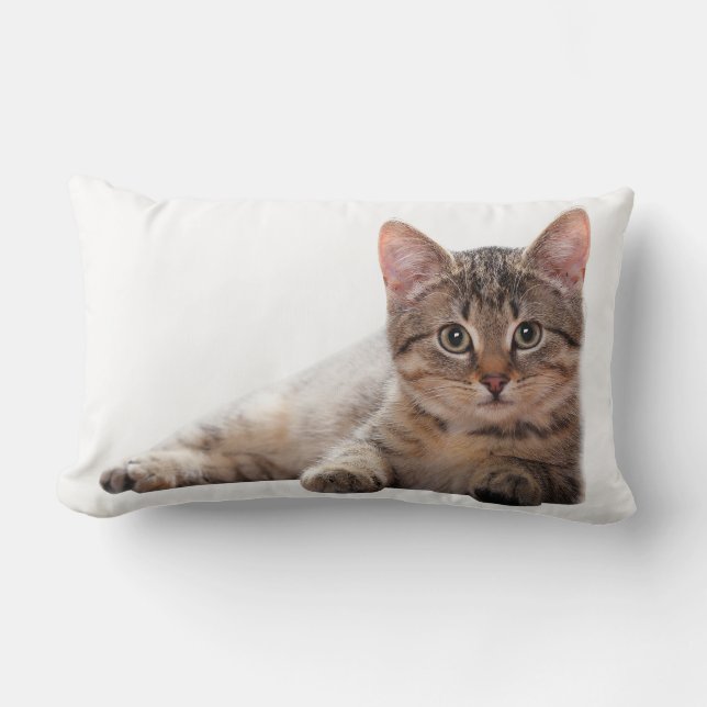Kitten Gray White Cat Cute Animal Lendenkissen (Vorderseite)