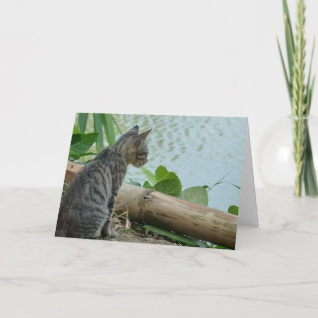 Kitten Greeting Card - Leere Karte (Vorderseite)