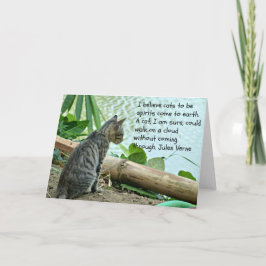 Kitten Greetings Card mit Zitat Karte