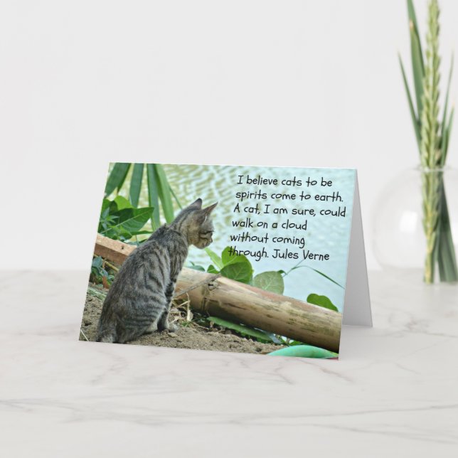 Kitten Greetings Card mit Zitat Karte (Vorderseite)