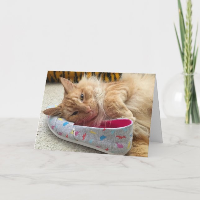 Kitten Grußkarte Nr. 3 Karte (Vorderseite)