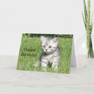 Kitten Happy Birthday carte de voeux