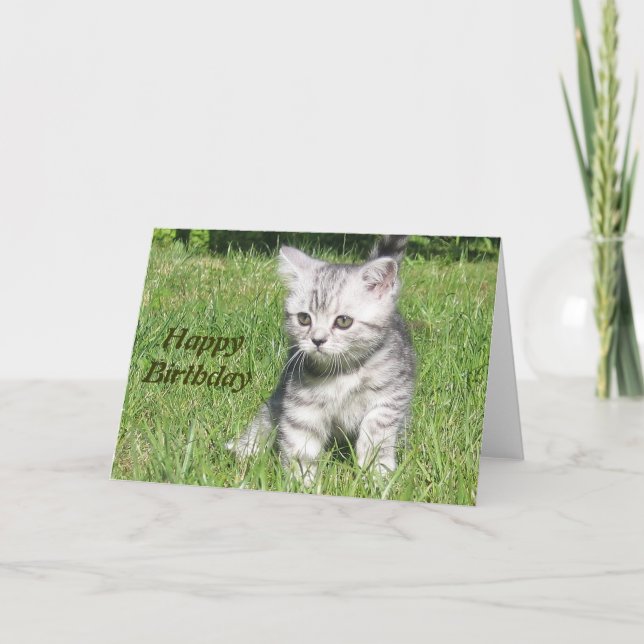 Kitten Happy Birthday Grußkarte Karte (Vorderseite)