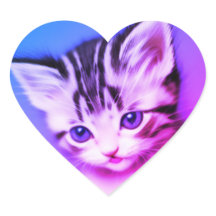 Kitten