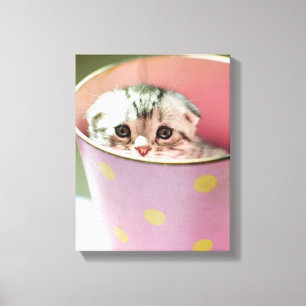 Kitten Hiding Leinwanddruck