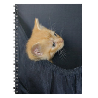 Kitten im Koffer Notizblock