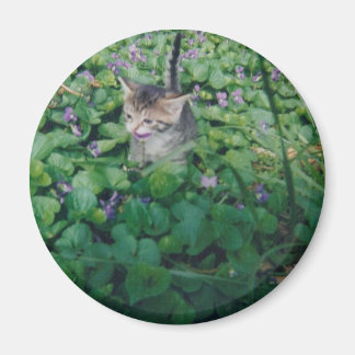 Kitten im Violetmagneten Magnet
