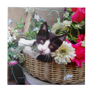 Kitten in a Basket Fliese