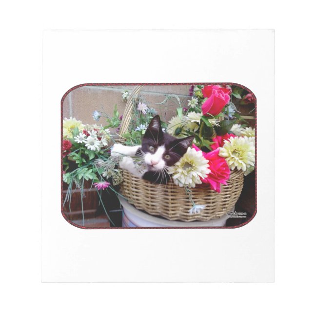 Kitten in a Basket Notizblock (Vorderseite)