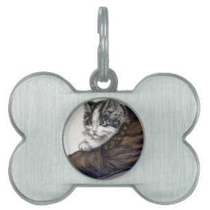 Kitten in einem Schuhwerk Tiermarke