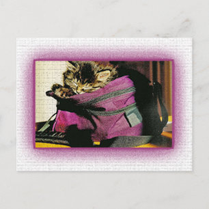 Kitten in einer Burgunder-Portion schlafen Postkarte