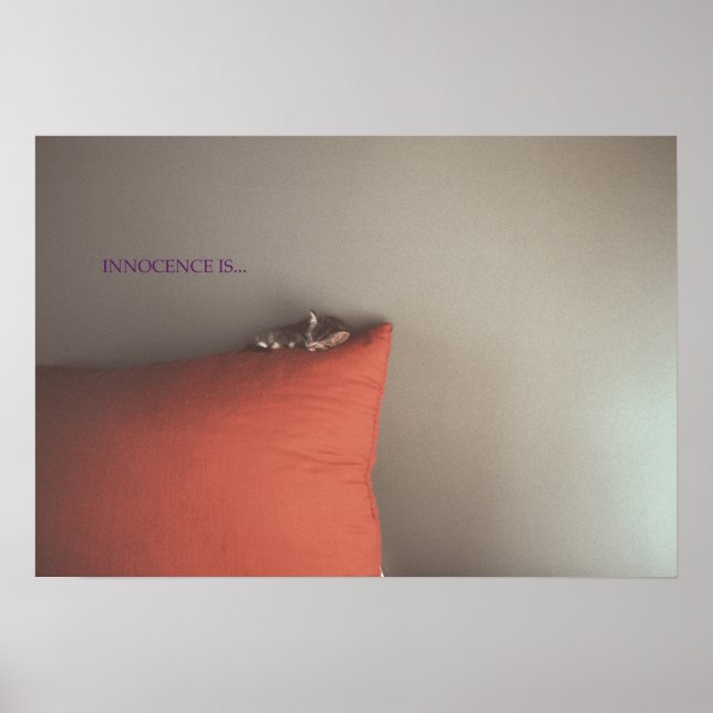 Kitten in Frieden Poster (Vorne)