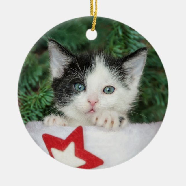 Kitten in Red Santa Claus Boot Strumpf Weihnachten Keramik Ornament (Vorne)