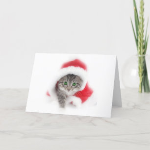 Kitten in Santa hat Feiertagskarte