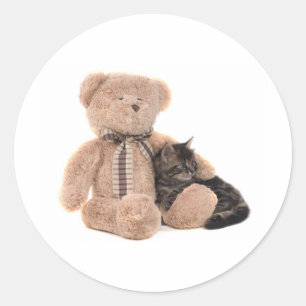 Kitten in the arms of a teddy bear runder aufkleber
