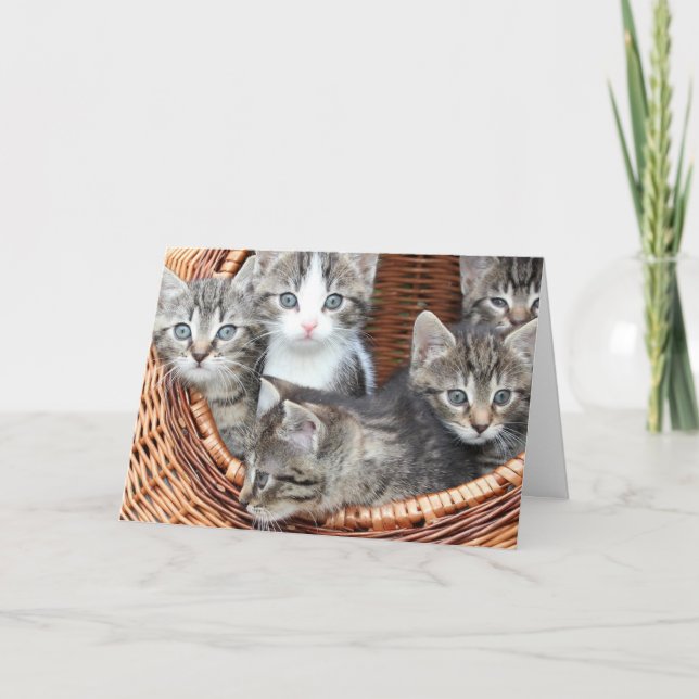Kitten Karte (Vorderseite)