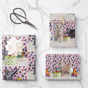 Kitten! (Katzen) Buffington und Patton's Geburtsta Geschenkpapier Set
