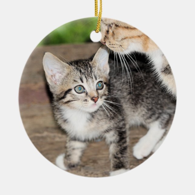 Kitten Keramik Ornament (Vorne)