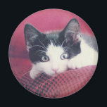 Kitten Kühlschrankmagnet<br><div class="desc">Hier sehen Sie... </div>