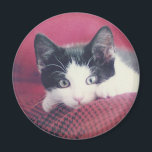 Kitten Kühlschrankmagnet<br><div class="desc">Hier sehen Sie... </div>