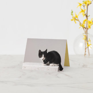 Kitten Liebe Karte