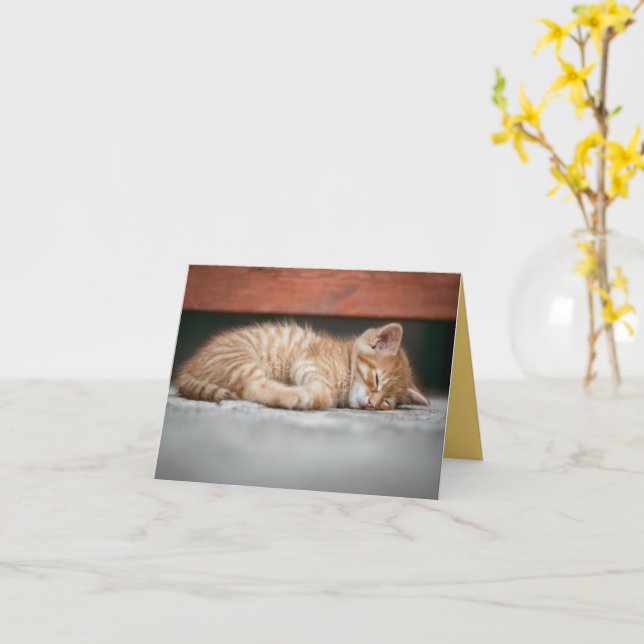 Kitten Liebe Karte (Gelbe Blume)