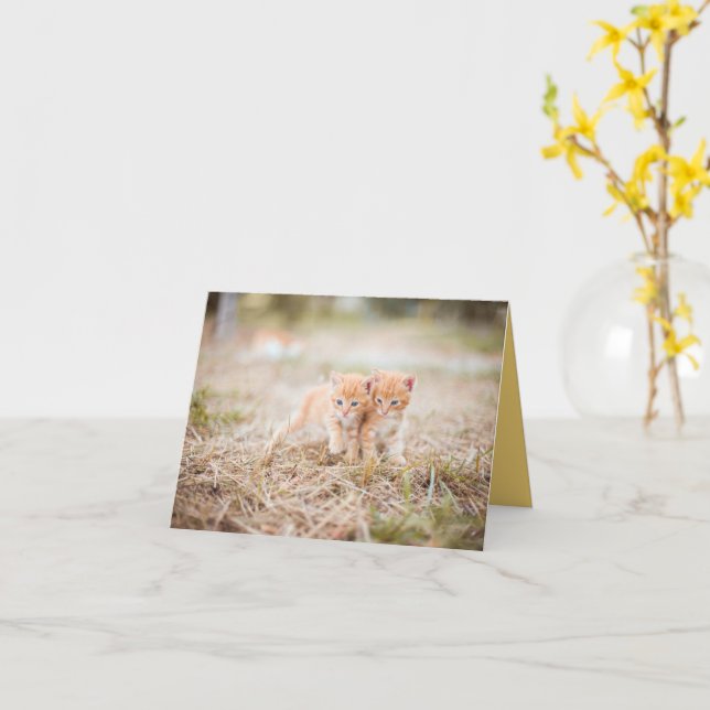 Kitten Liebe Karte (Gelbe Blume)