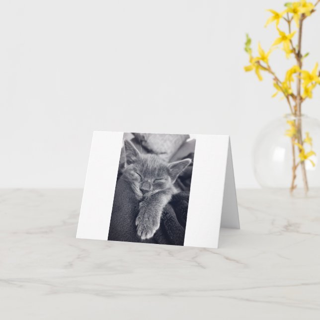 Kitten Liebe Karte (Gelbe Blume)