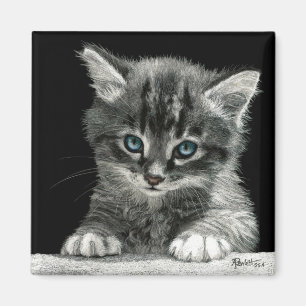 Kitten Magnet - "Helle Zukunft"