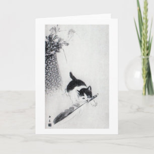 Kitten mit Feather, Imao Keinen Karte