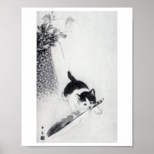 Kitten mit Feather, Imao Keinen Poster