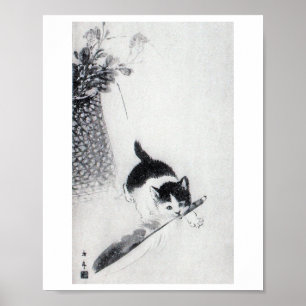 Kitten mit Feather, Imao Keinen Poster