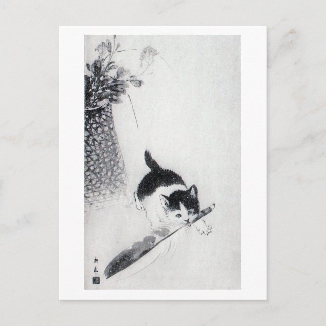 Kitten mit Feather, Imao Keinen Postkarte (Vorderseite)