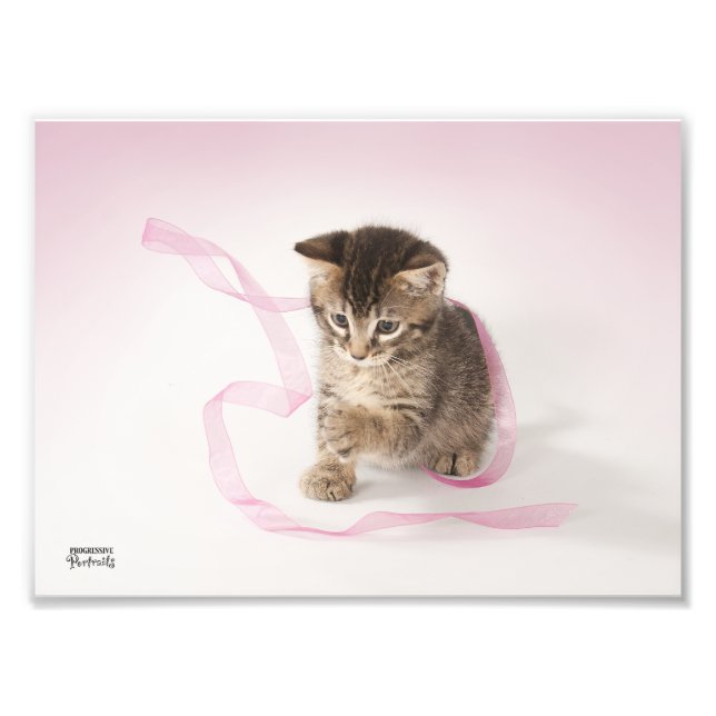 Kitten mit Ribbon Fotodruck (Vorne)