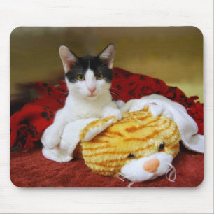 Kitten mit Toy Tiger Mousepad